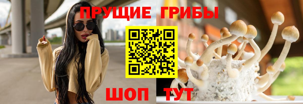 Гатчина  Галлюциногенные грибы мухоморы  Вход с VPN 